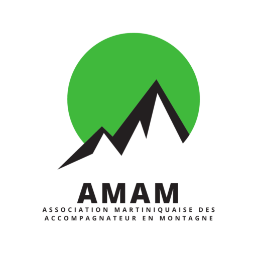 A.M.A.M
